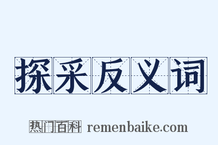 探采反义词是什么意思的图片
